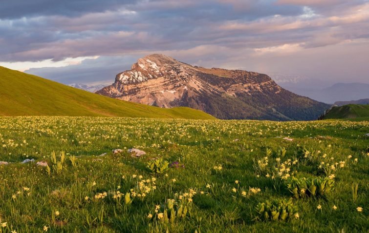 Visiter le Parc Naturel Régional de Chartreuse : guide complet