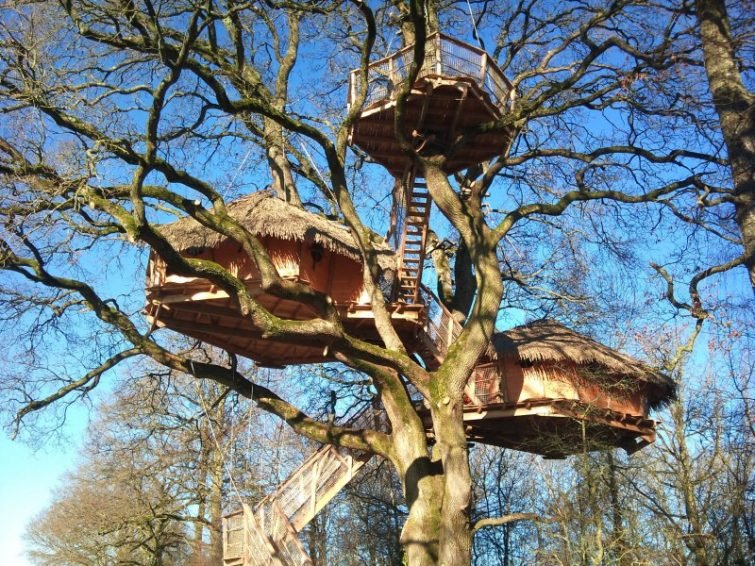 Les 10 plus belles cabanes dans les arbres en Normandie