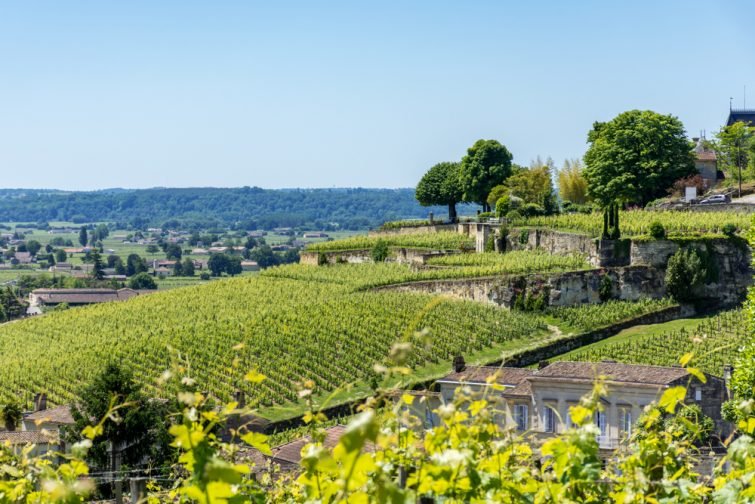 Visiter le Médoc : guide complet