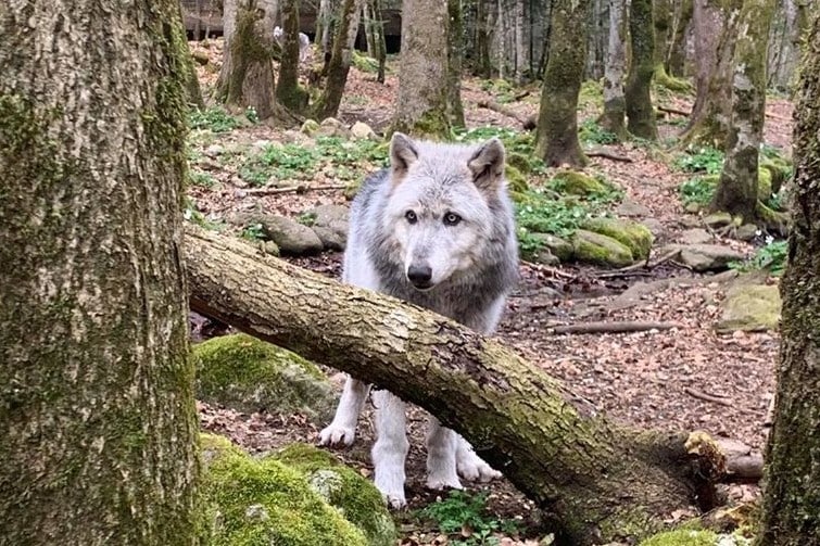 Les 14 choses incontournables à faire dans l’Ariège