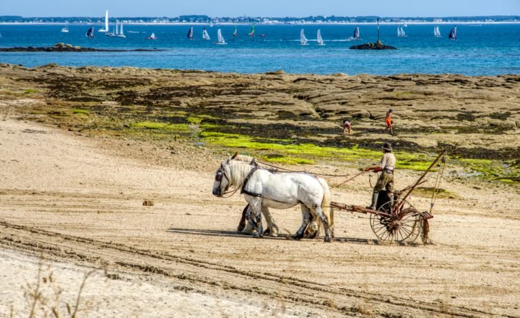 Pointe du Conguel Quiberon