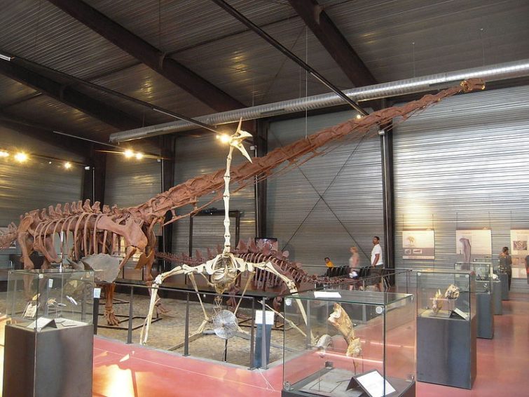 Dinosauria, Aude