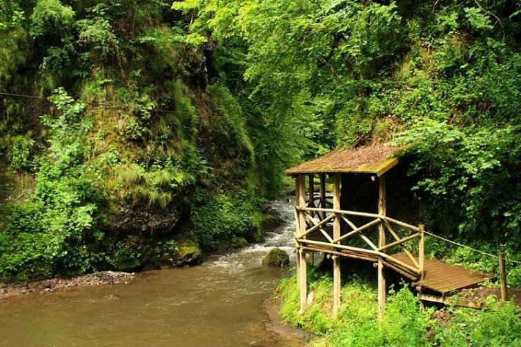 Gorges de la Jordanne - visiter Cantal