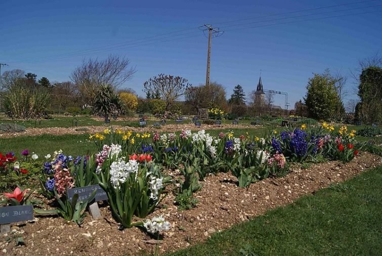 Jardin botanique de la Brisatte