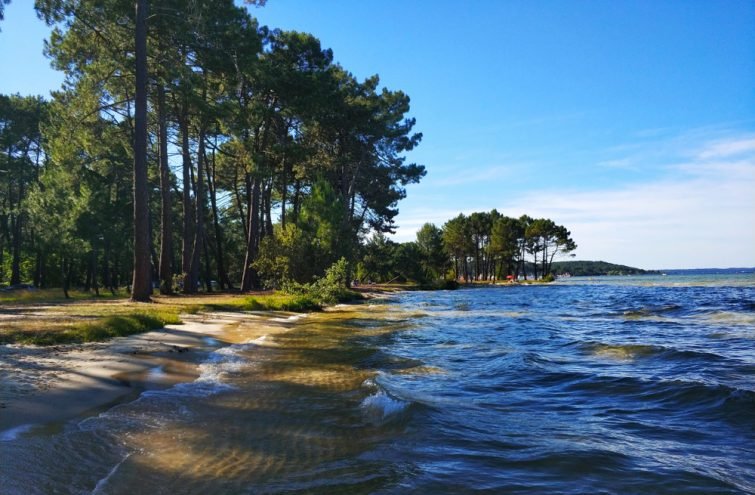 Le lac de Biscarrosse