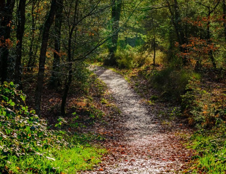 Brocéliande