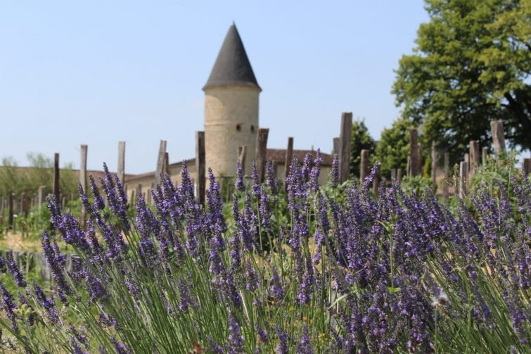 Visiter Gironde Chateau Guiraud