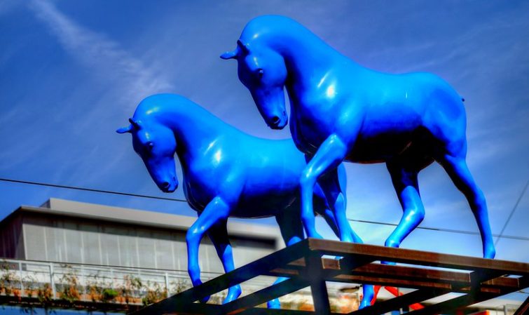 Chevaux Bleus - gare de Saint Etienne.