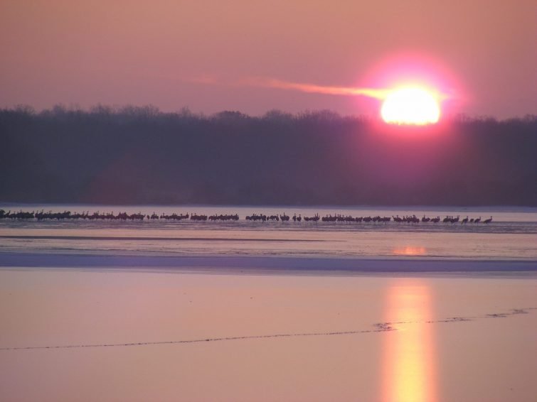 Coucher de Soleil Parc de la Brenne