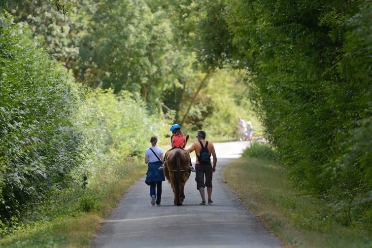 Du Coq à l'Âne - Asinerie & Savonnerie du Marais Poitevin