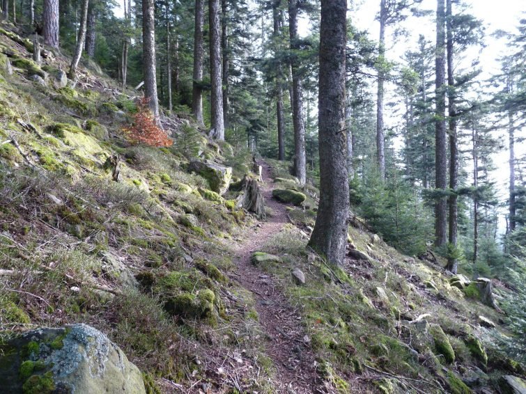 Du Rocher de Mutzig aux Deux Donons