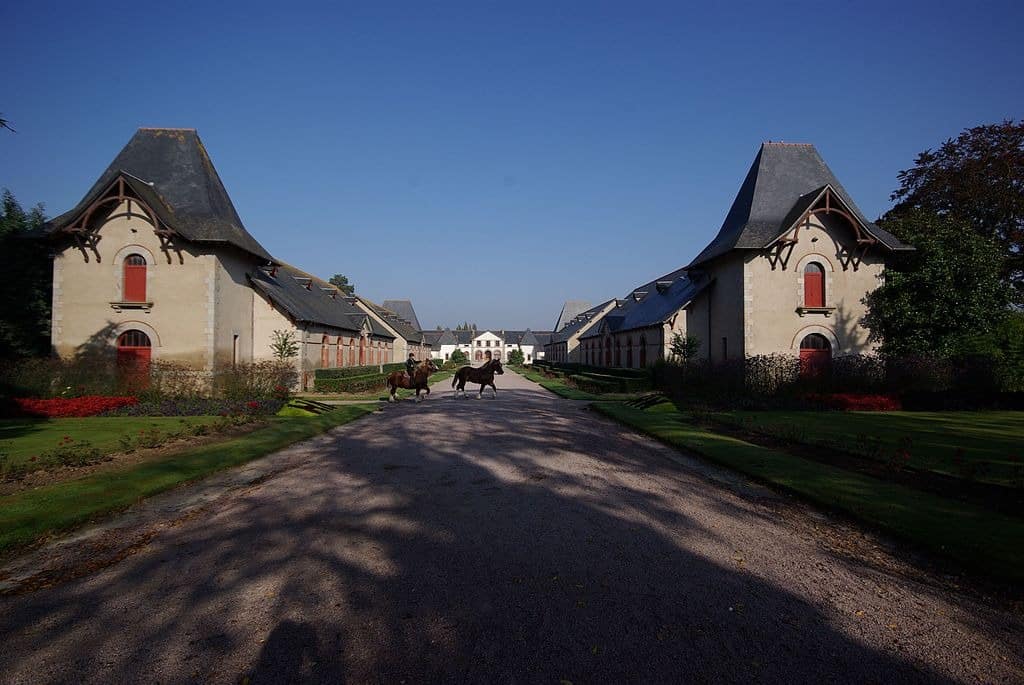 Haras Lamballe