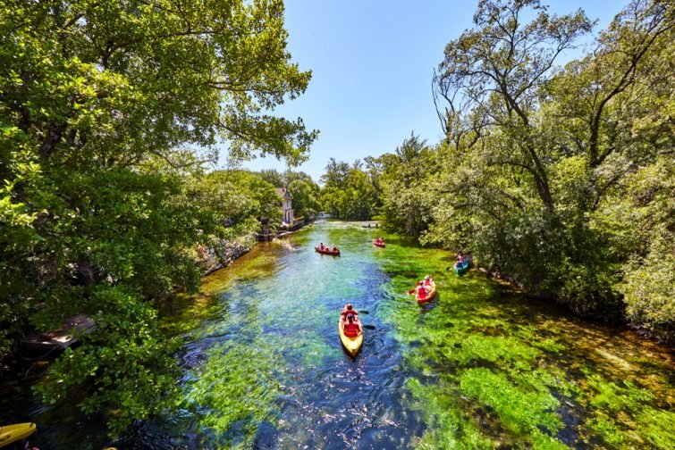 Kayak sur la Sorgue