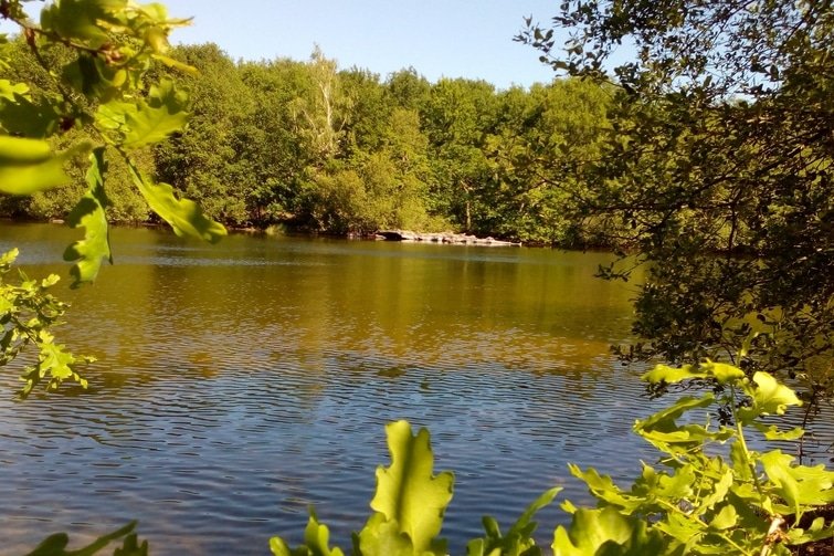 Lac de Saint-Pardoux