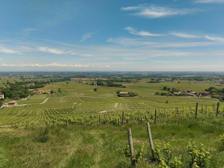 Le Mont Brouilly