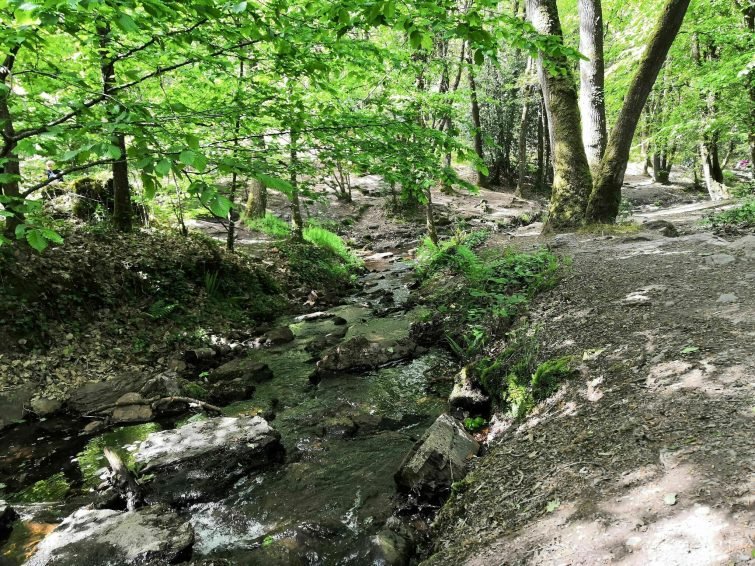 Le Val sans Retour en forêt de Brocéliande