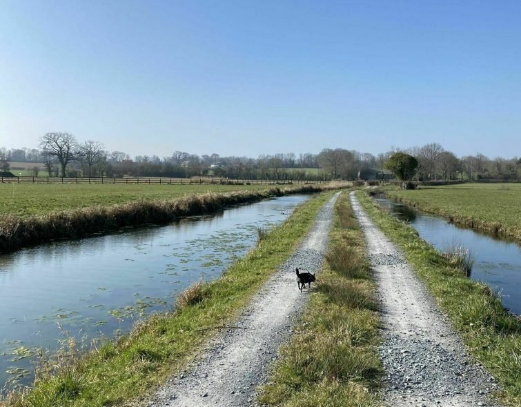 randonnées Calvados : Les Marais et le Bois de Bavent