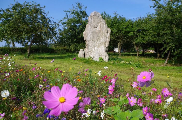 Menhir de la Dent de Gargantua