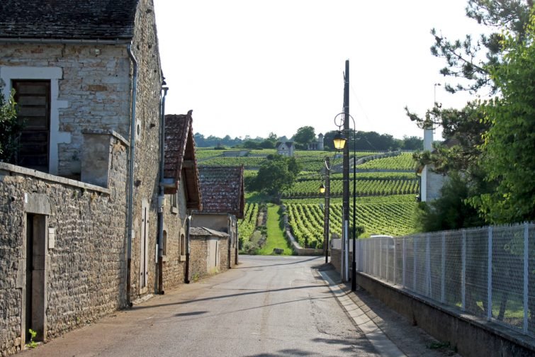 Visiter la Côte-d'Or : route des Grands Crus