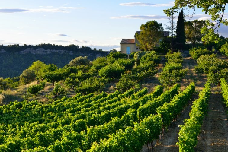 visiter le Vaucluse Vignoble Vaucluse