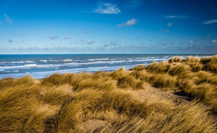 Visiter Côte d'Opale : Bray-Dunes