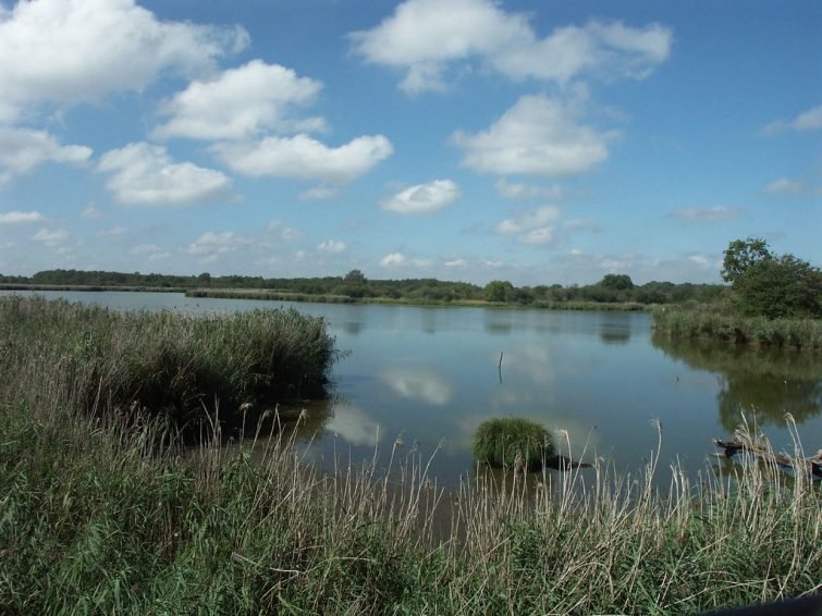 Faire du canoë-kayak dans la Brenne