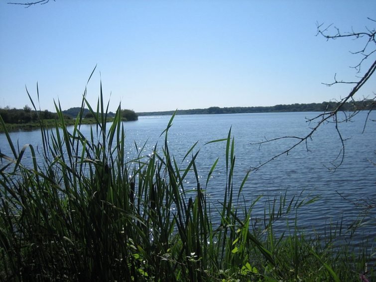 Visiter le Parc naturel régional de la Brenne