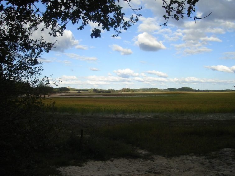 Etang de la mer rouge