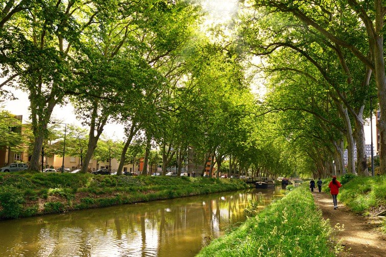 Visiter le Canal du Midi à pied