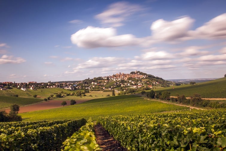 Sancerre et ses vignobles