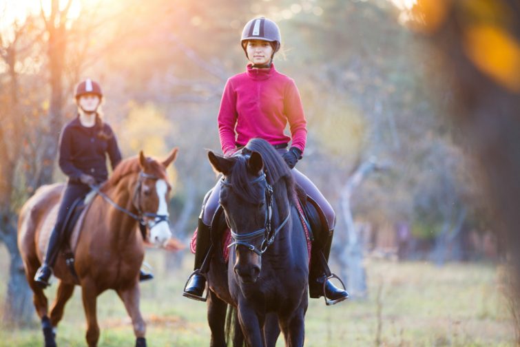 Cheval visiter Mont-Blanc