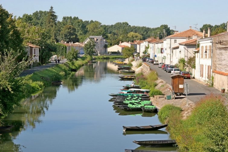 coulon-france