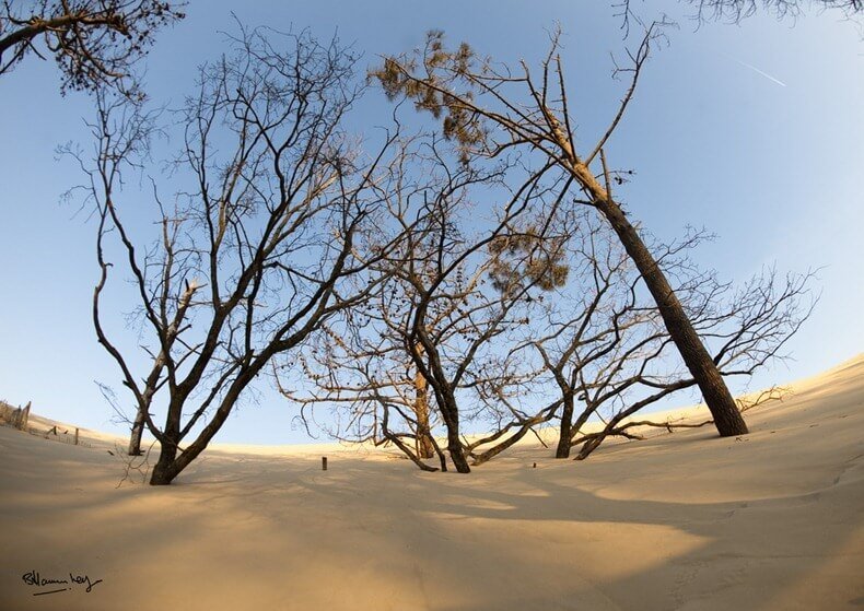 Dune du Pilat, Arcachon, Aquitaine