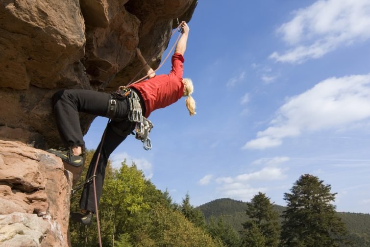 activité parc régional des Ardennes