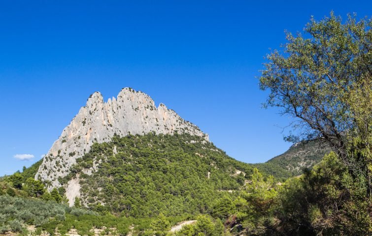 Visiter le Parc Naturel Régional des Baronnies Provençales : escalade