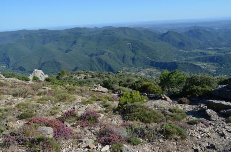 Vue sur les Gorges d'Héric