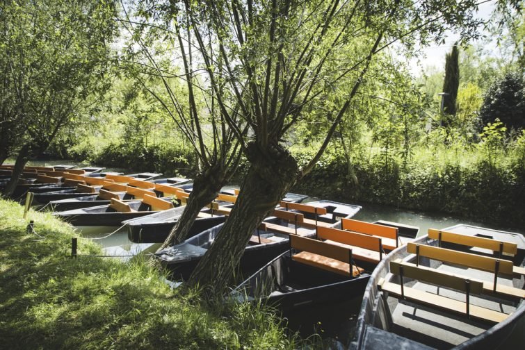 marais-poitevin