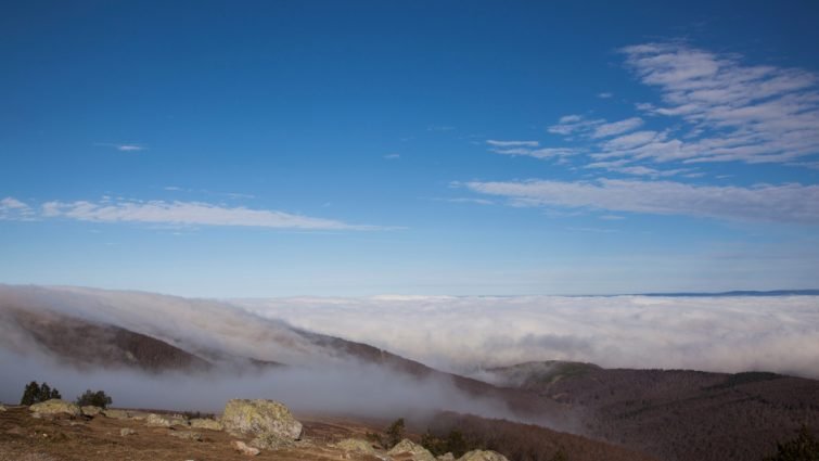 Mont Aigoual