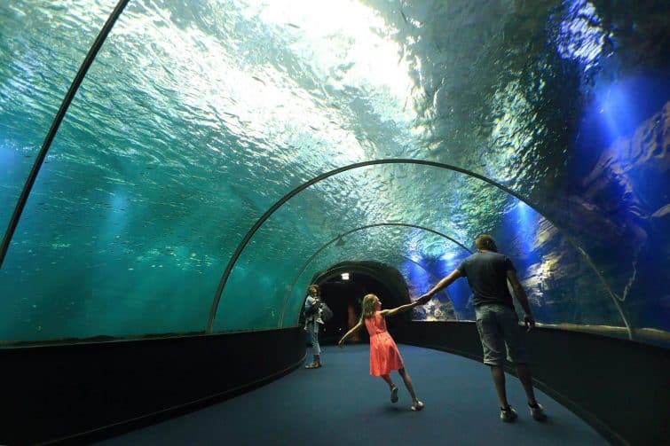 Le tunnel de Nausicaa