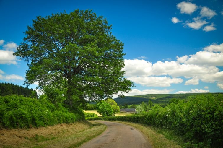 parc-morvan