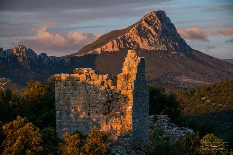 pic saint loup visite