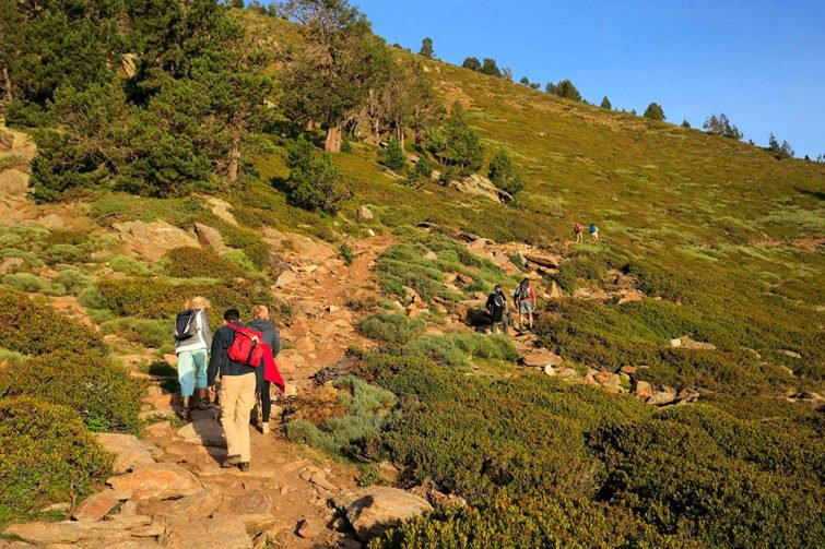 Visiter le Pic du Canigou : Randonnée guidée au Pic du Canigou