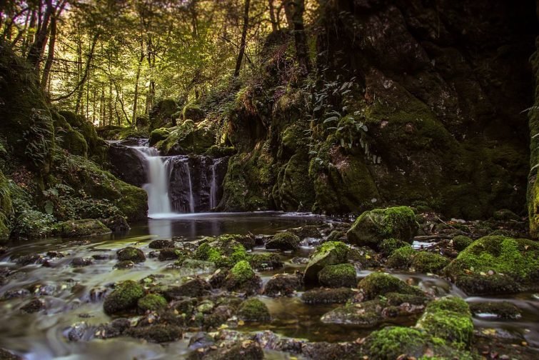 Randonnées Morvan : Les gorges de la Canche et le mont Robert