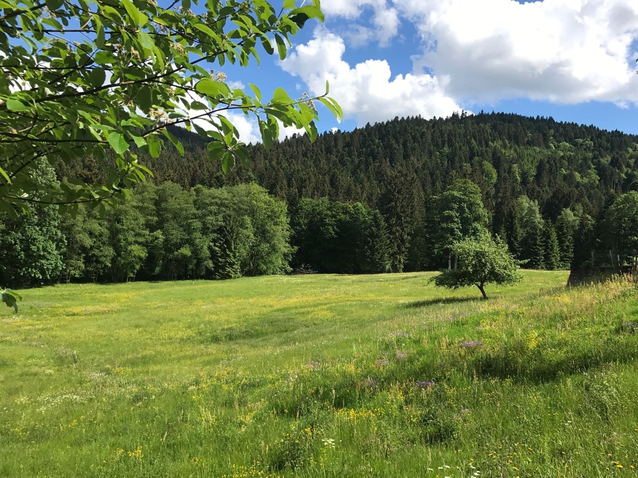 Le col de Sapois et le Saut de la Bourrique