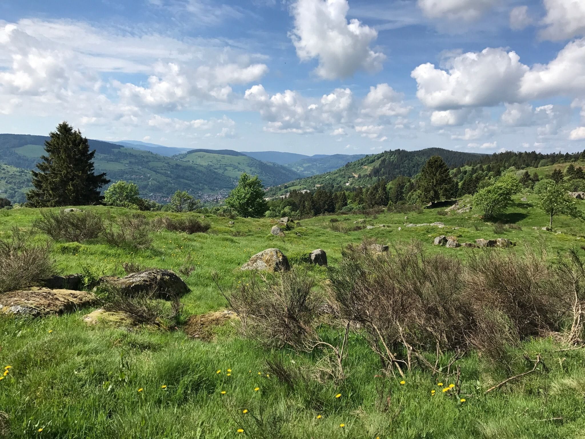 Magnifique randonnée proche de Gérardmer