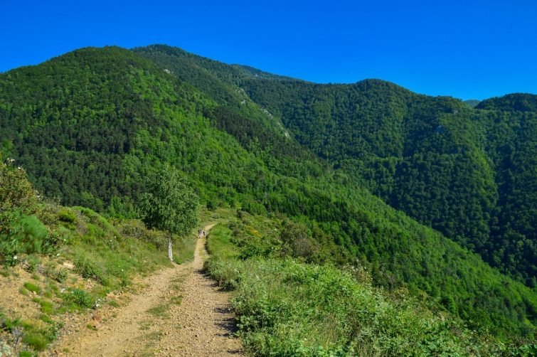 Randonnée au Mont Canigou