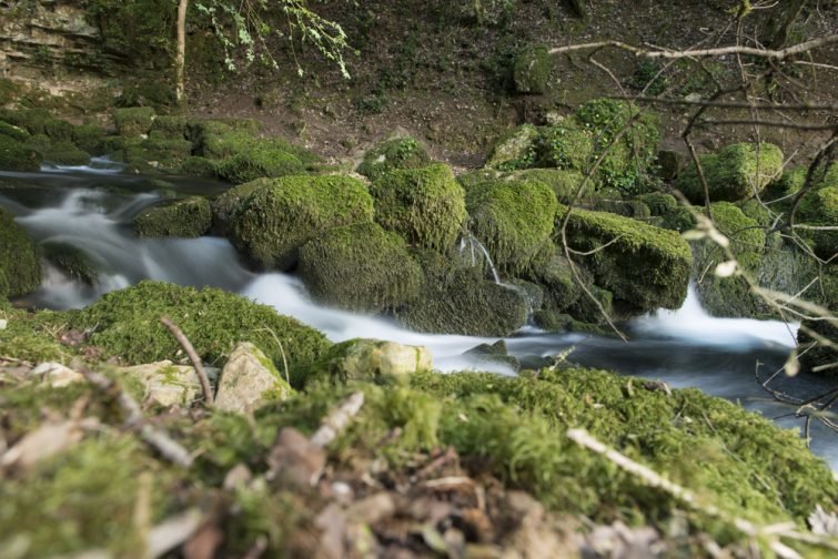 Rivière parc du Quercy