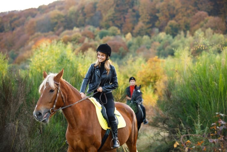 Visiter le parc régional des Ardennes