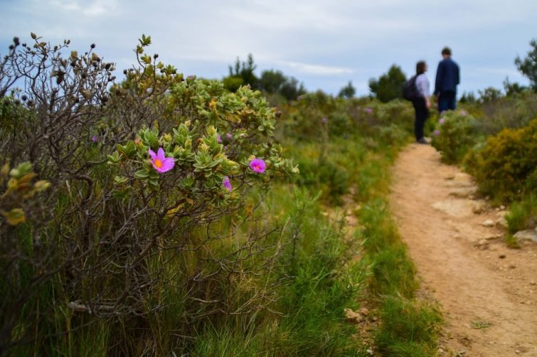 Randonnée dans le Parc des Arpilles