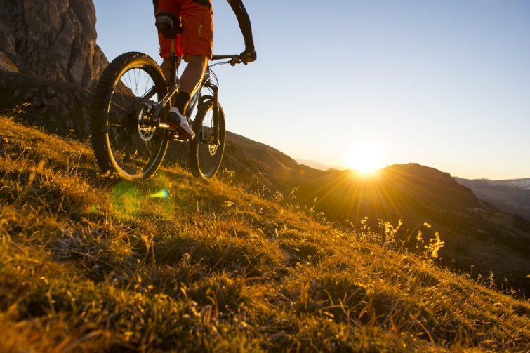 VTT au Parc Naturel des Alpilles